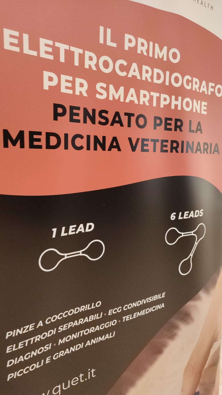 ecg veterinari scivac