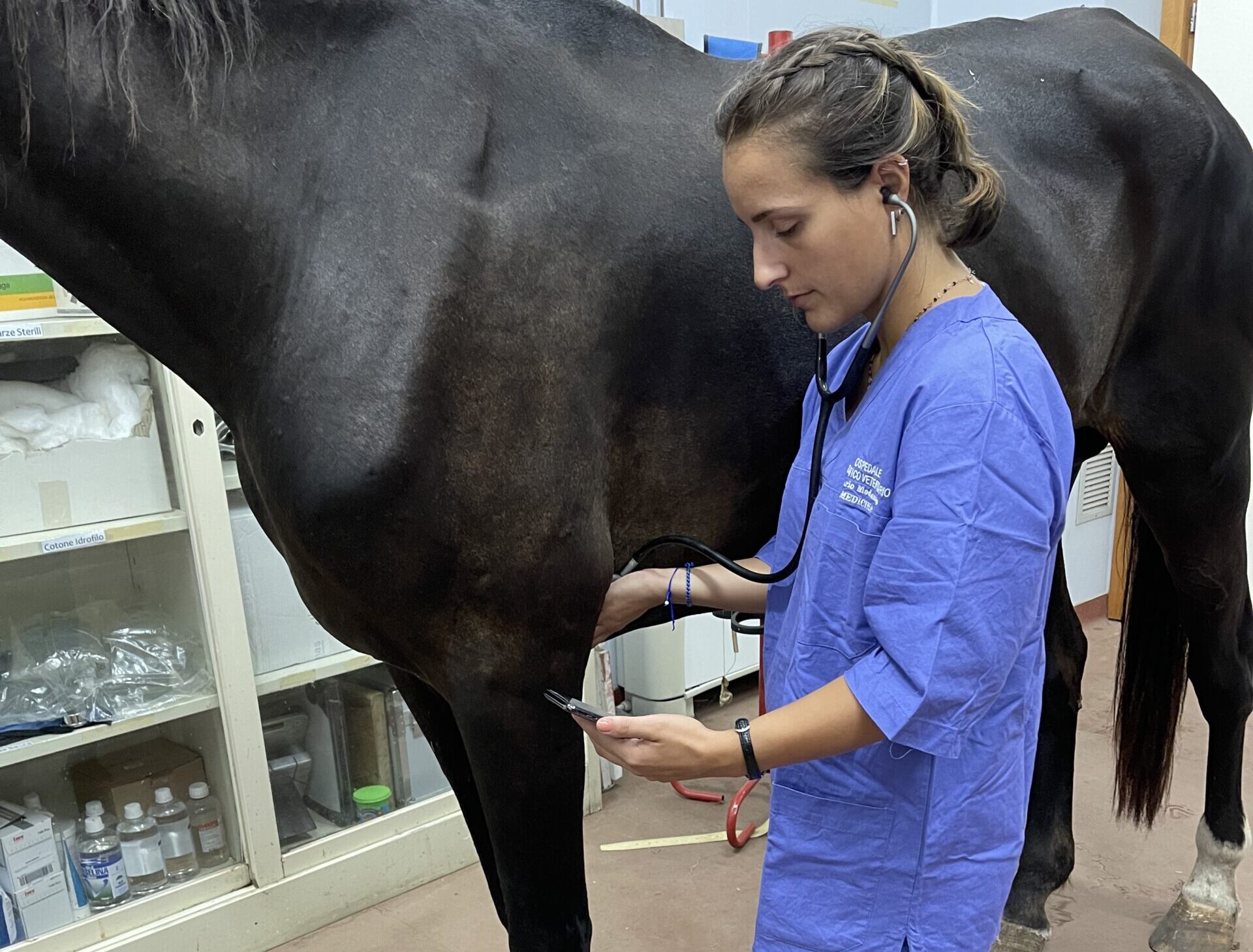 Stivali Da Spazzolatura LeMieux Per Cavallo – Imbottitura In Pile, Esterno In Ecopelle, Per Zampe Anteriori E Posteriori, Venduti In Coppia