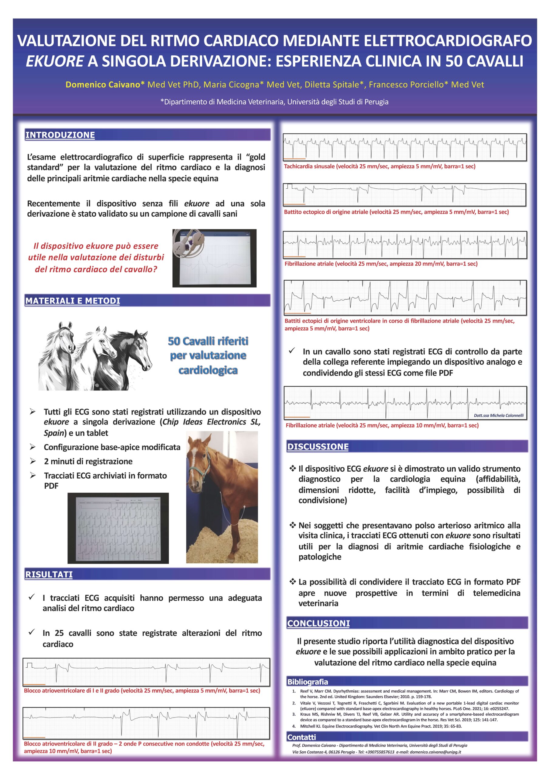 ekuore horses poster sive 23